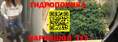 mdpv Краснознаменск