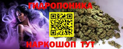mdpv Краснознаменск