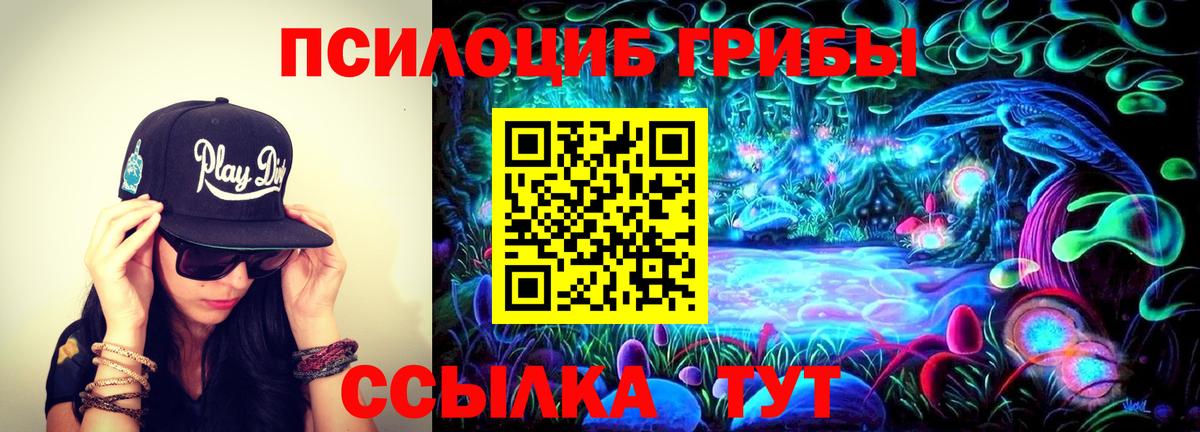 Псилоцибиновые грибы Psilocybe Татарск